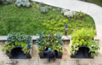 Terraform-Jardin thérapeutique « Healing Garden » à Milan, Italie : Photographie Magazine Gardenia / 2017